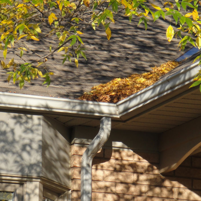 Leafguard / Gutter Protection Century Aluminum